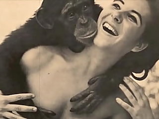 free video gallery dark-lantern-entertainment-presents